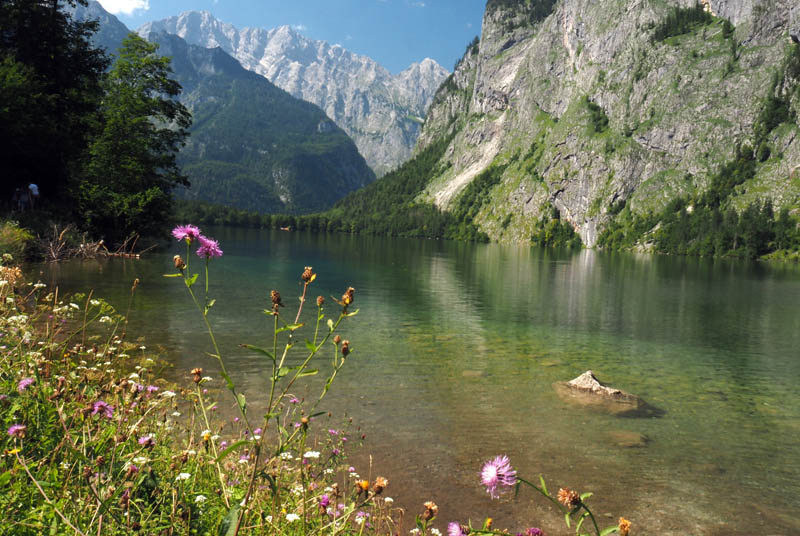 Obersee